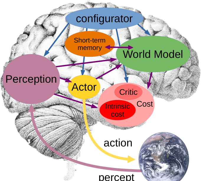 Mode-1 感知-行动片段