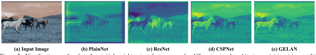 图 6. PlainNet、ResNet、CSPNet 和 GELAN 在不同深度下由随机初始权重输出的特征图（可视化结果）。在 100 层之后，ResNet 开始产生足以混淆对象信息的正向输出。我们提出的 GELAN 仍然可以在第 150 层之前保留相当完整的信息，并且在第 200 层之前仍然具有足够的判别力。